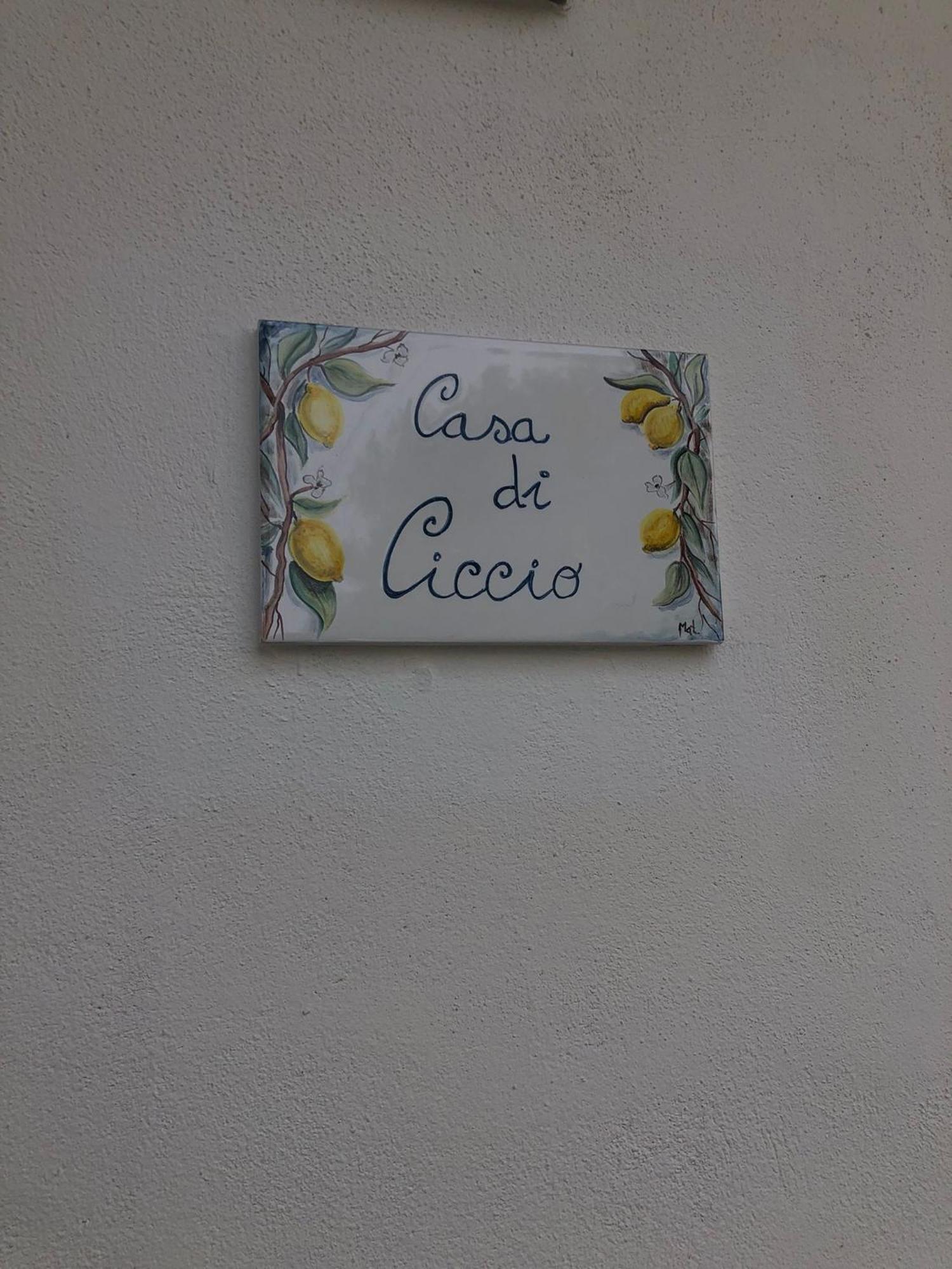 Villa Giardino Degli Oleandri פאלינורו מראה חיצוני תמונה