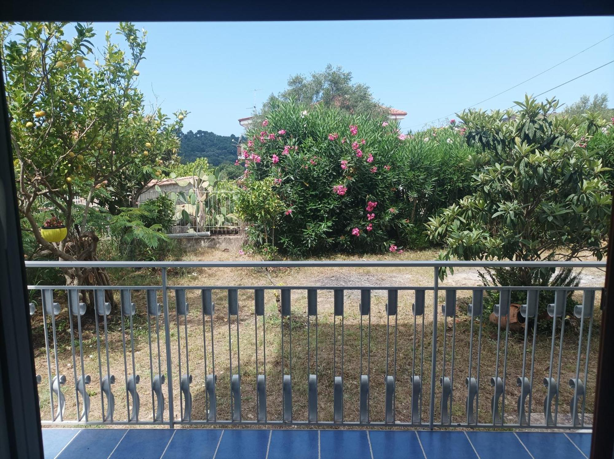 Villa Giardino Degli Oleandri פאלינורו מראה חיצוני תמונה