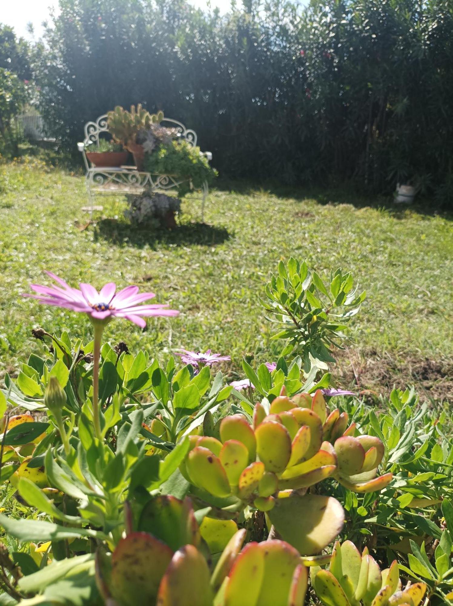 Villa Giardino Degli Oleandri פאלינורו מראה חיצוני תמונה