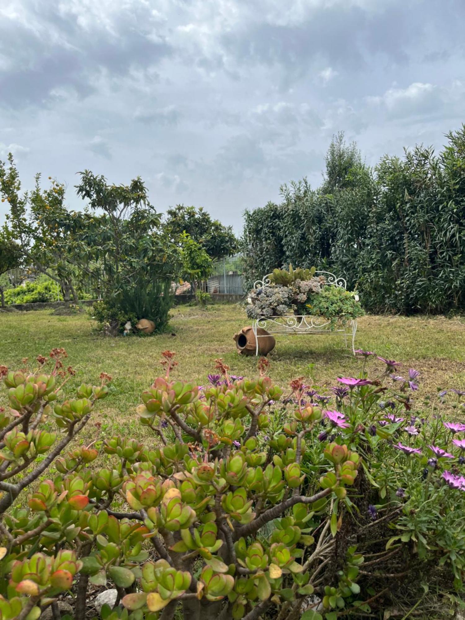 Villa Giardino Degli Oleandri פאלינורו מראה חיצוני תמונה